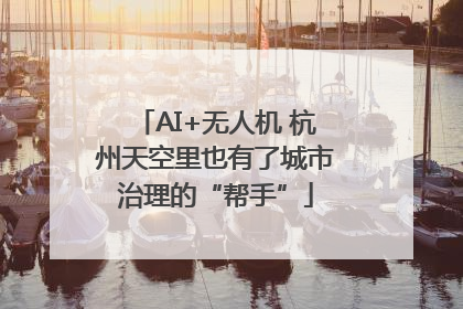 AI+无人机 杭州天空里也有了城市治理的“帮手”