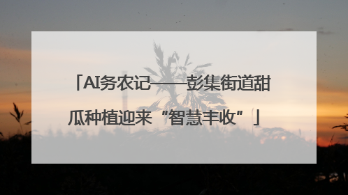 AI务农记——彭集街道甜瓜种植迎来“智慧丰收”