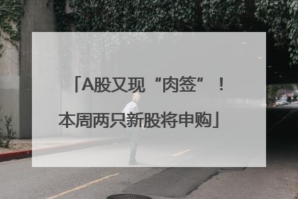 A股又现“肉签”！本周两只新股将申购